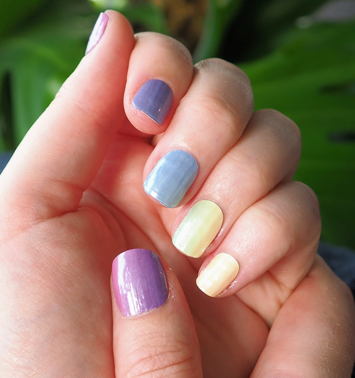Rainbow Parade