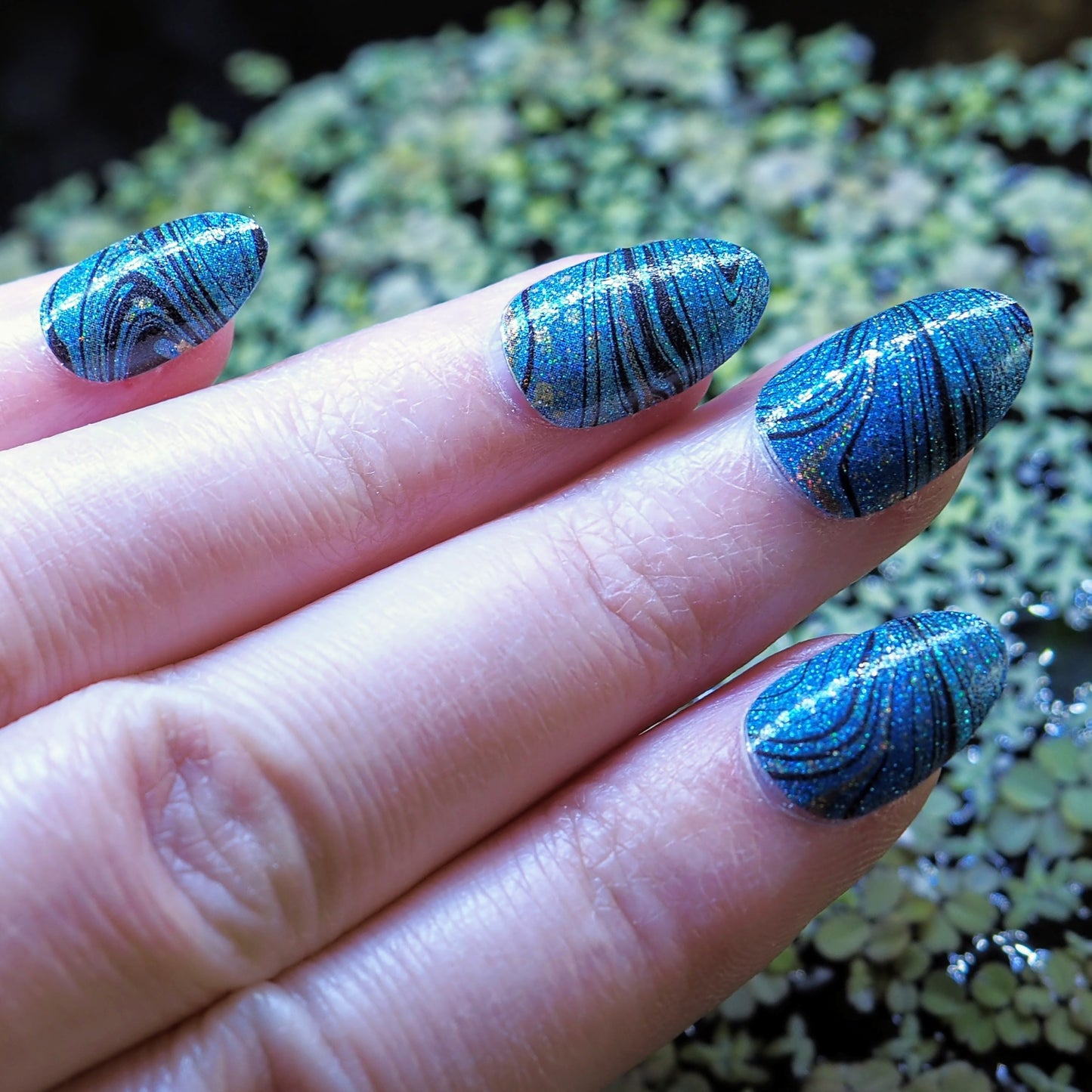 Siren Song