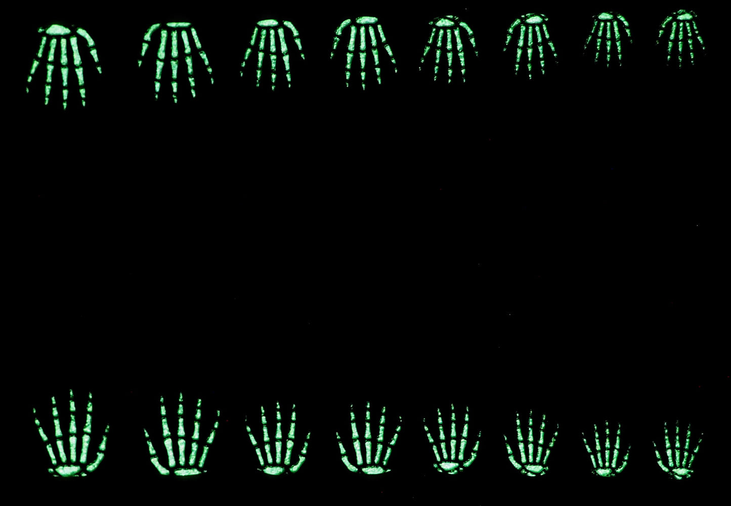 Spirit Fingers