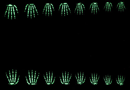 Spirit Fingers